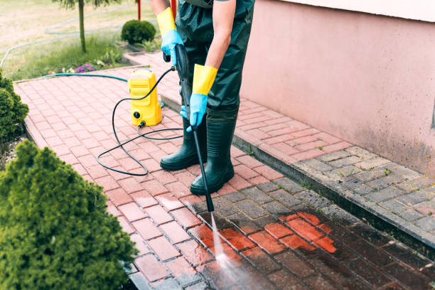 Best Solar Panel Cleaning  in Lakeside, MT